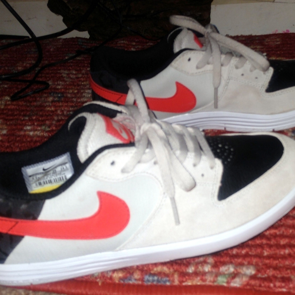 Nike SB shoes